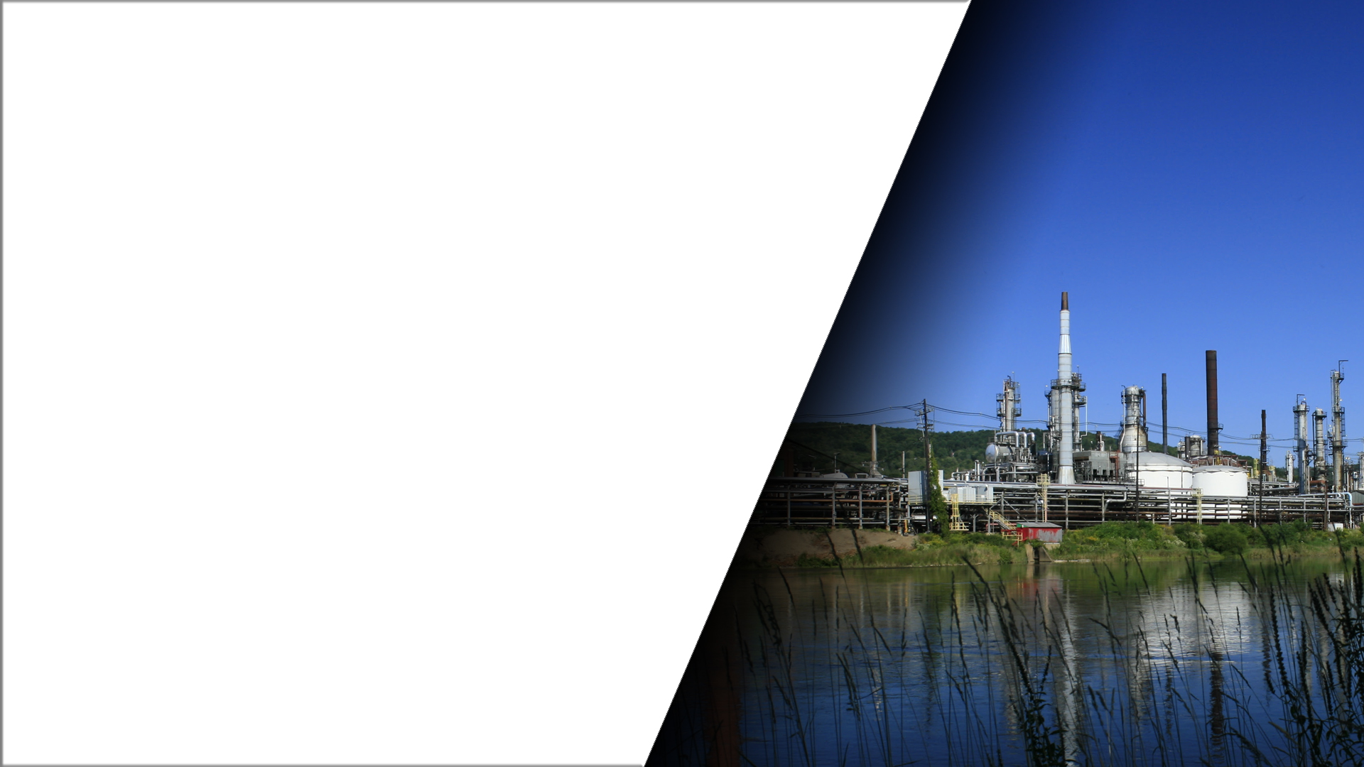 John Catsimatidis Official Site